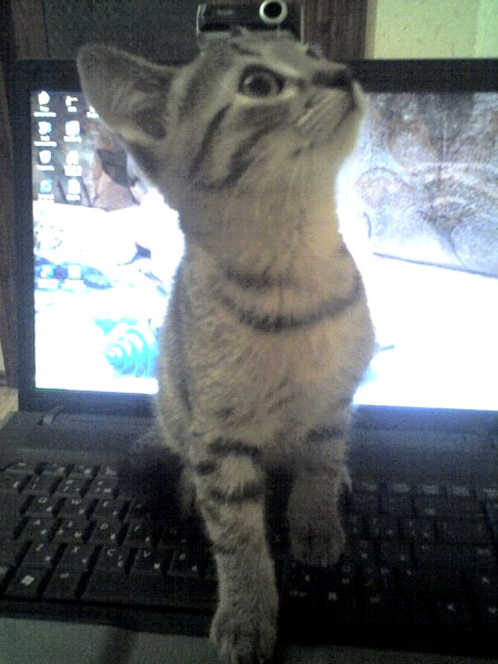 size 76Kb