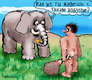 size 50Kb