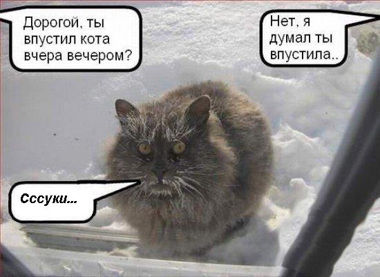 size 37Kb