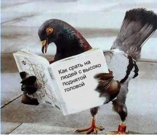 size 41Kb