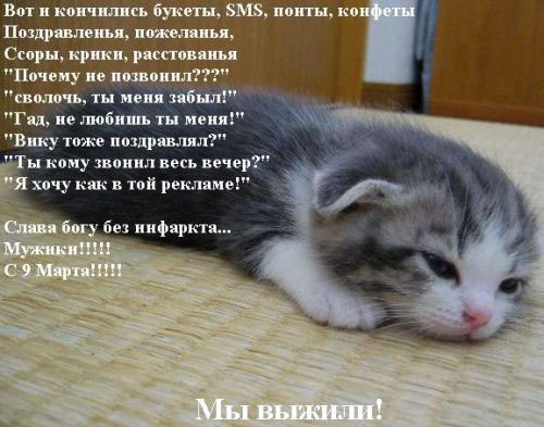 size 73Kb