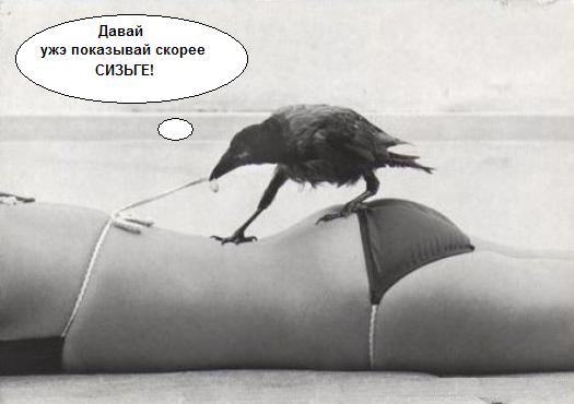 size 22Kb