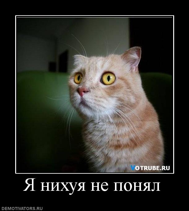 size 42Kb