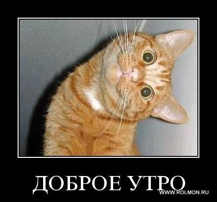 size 37Kb
