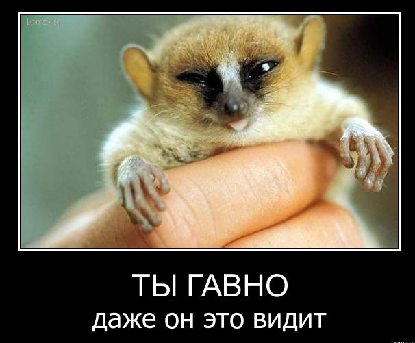 size 45Kb