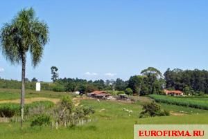 квартирный вопрос