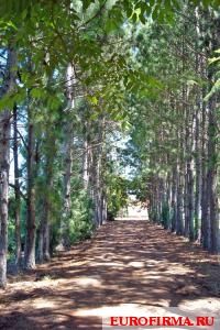 квартирный вопрос