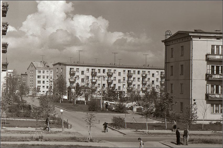  1960