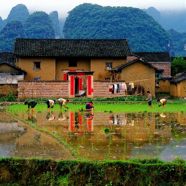 china_19.jpg