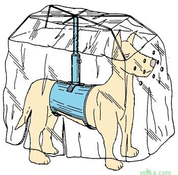 Самые дурацкие изобретения