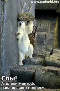 ���� �����