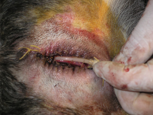 ���������