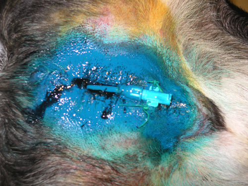 ���������