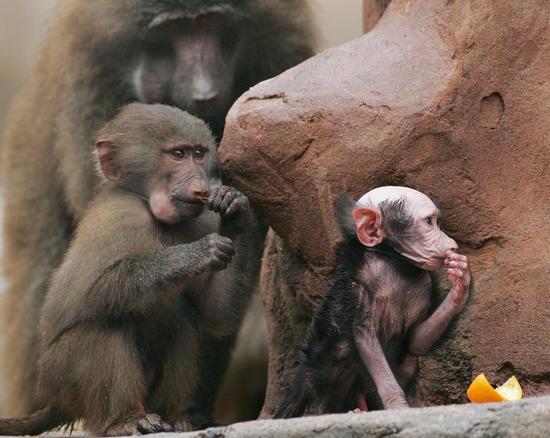 ��������