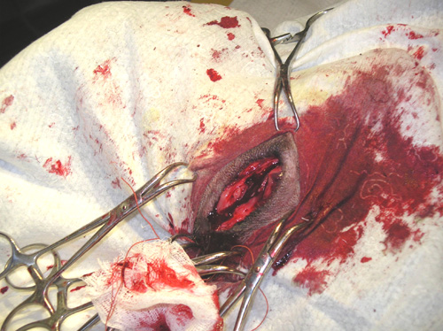 ���������