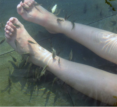 ������ ��� ����� ���������!