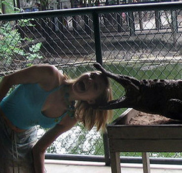 ���� ���� �� �����