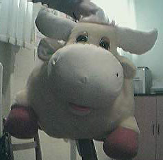 ��� �������