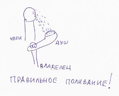 ������ ����������� �����