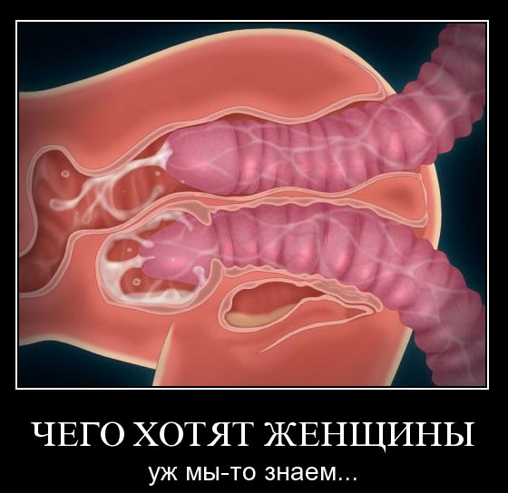 ���� ����� �������