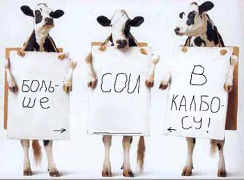 ��� ��� ���� ���