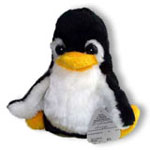 �i���i����� �i����