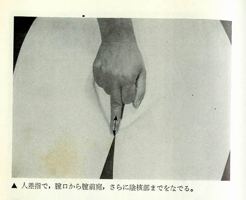 ������ � �����