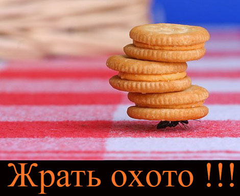 ����� ����� !!!