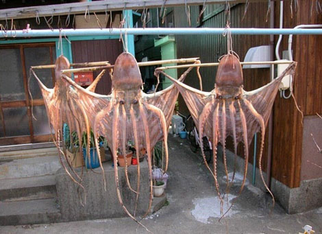 ������� �������