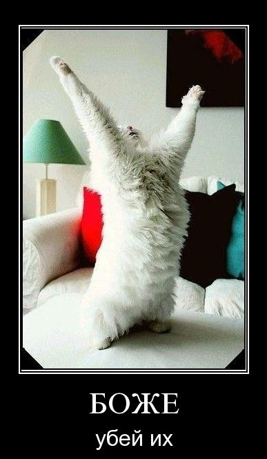 ����������� � ���� �������