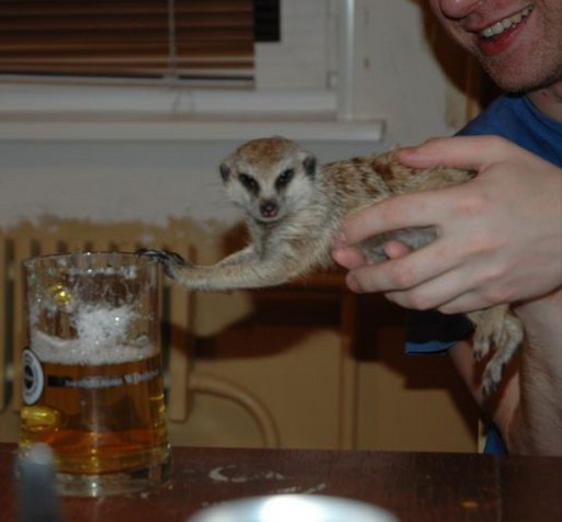 �������!