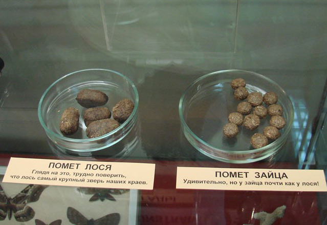 ������, � ��������