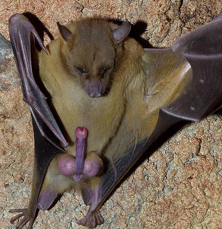 ���-�����