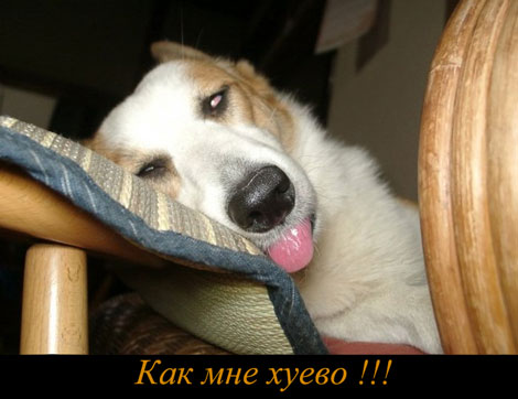 ����� �����