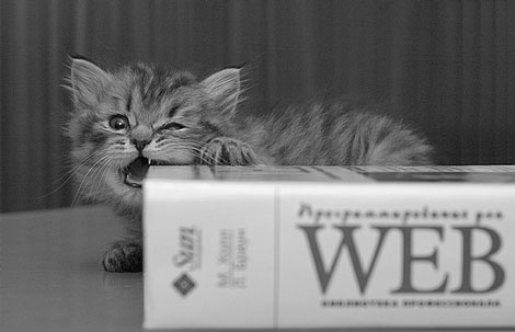 ��������� ������ ������ �����