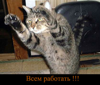 �������� �����