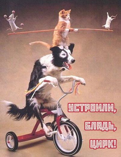 ���������� �������� ))