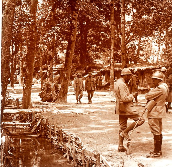 ������ ������� �����