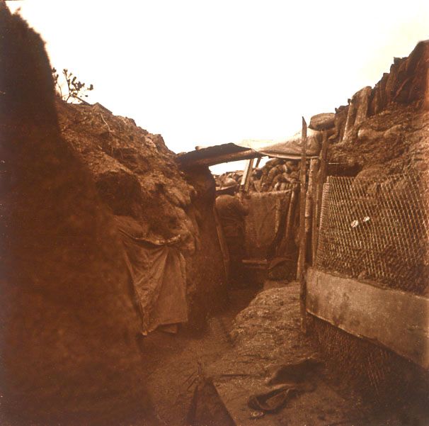 ������ ������� �����