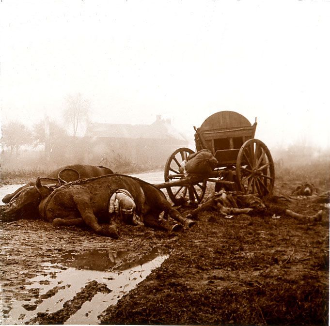 ������ ������� �����