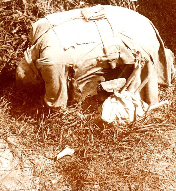 ������ ������� �����