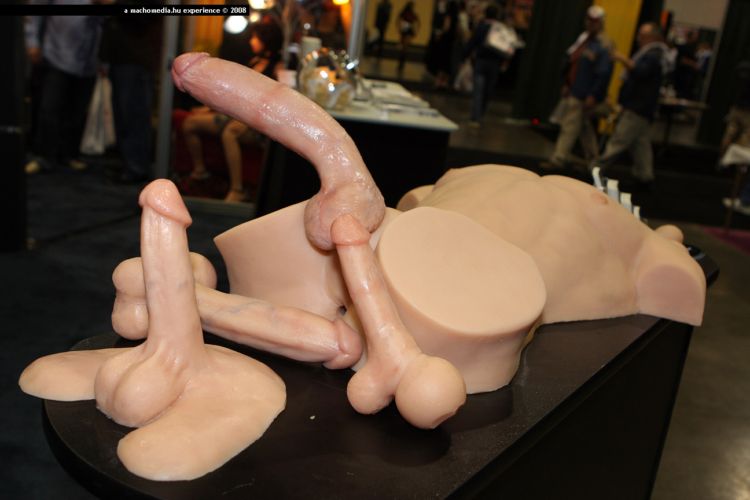 AVN Awards - Las Vegas 2008