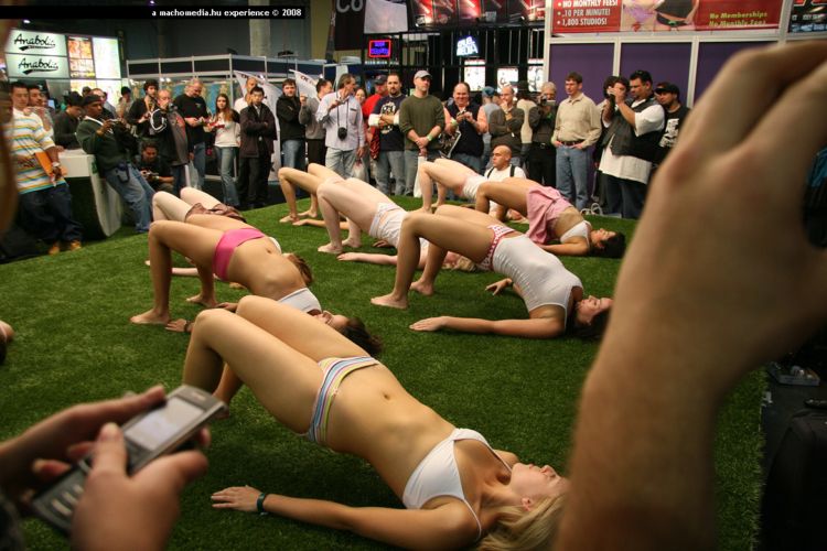 AVN Awards - Las Vegas 2008