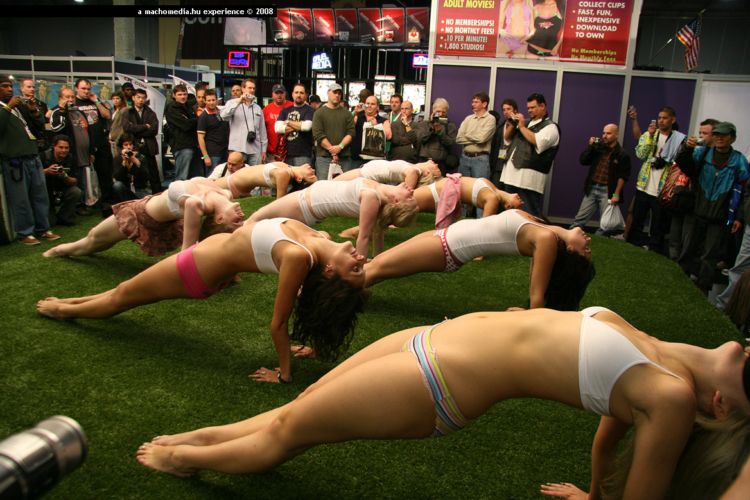 AVN Awards - Las Vegas 2008