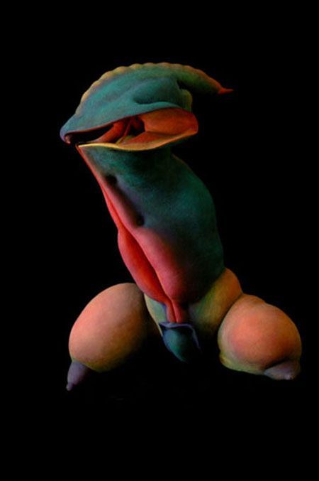 ���������