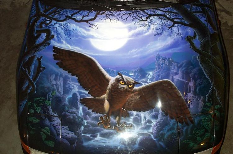 ����������