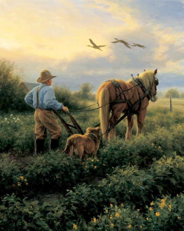 ������������ �������