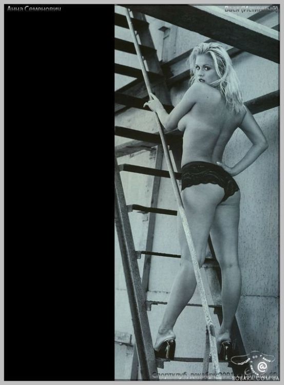 ���� ��������� - ������� ����