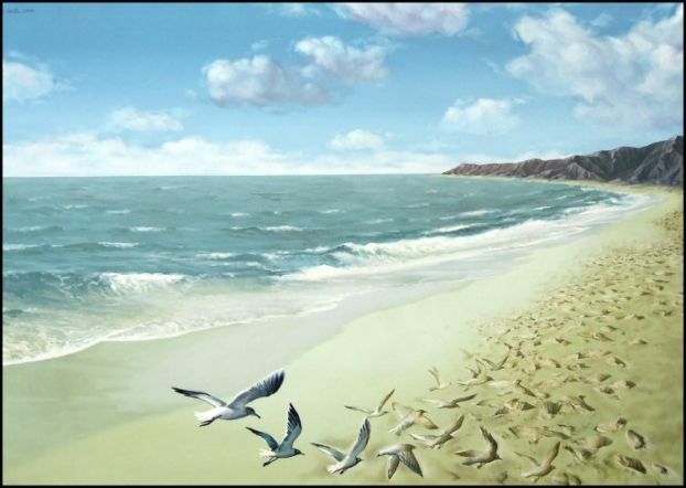 ������������� ������