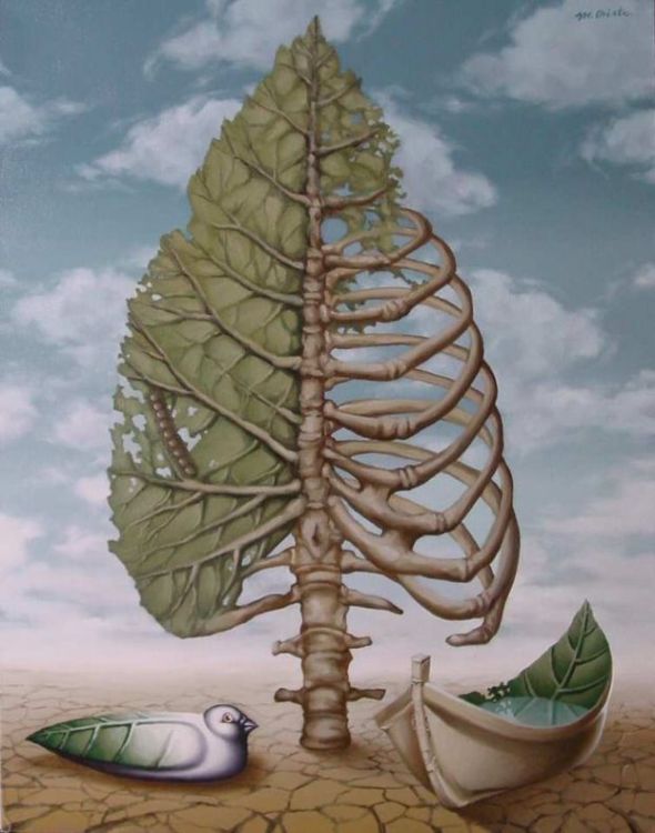 ������������� ������